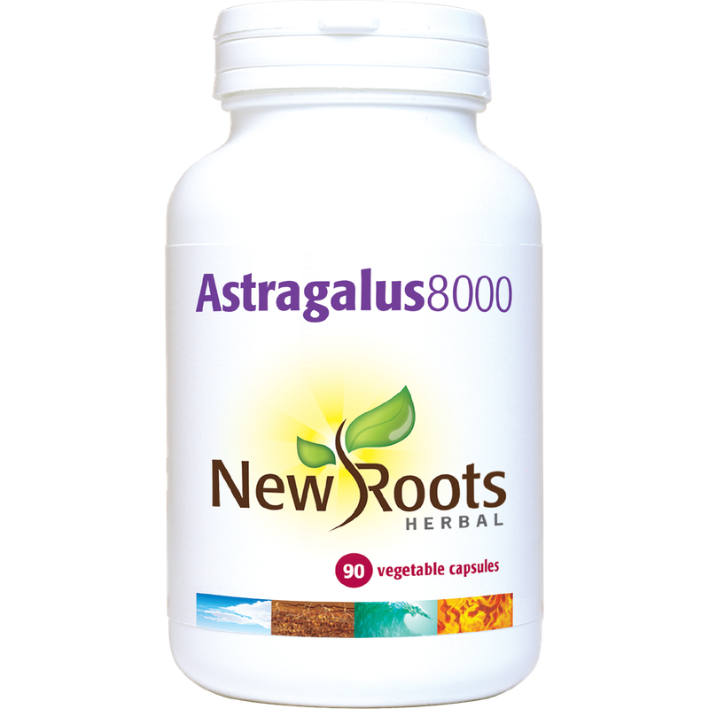 New Roots Astragalus 8000 500mg 90 Capsules- Lillys Pharmacy and Health Store