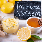 Immune System-Lillys Pharmacy & Health Store