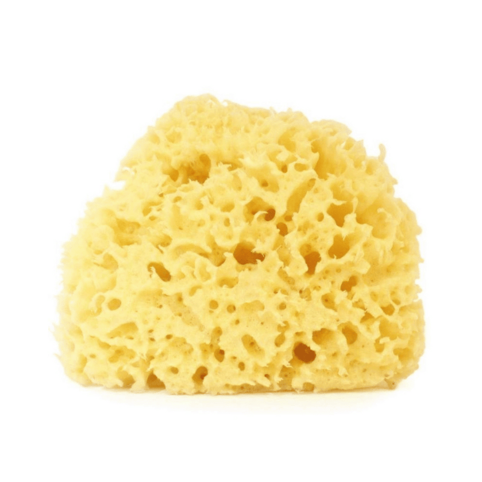 Anewmum – Natural Honeycomb Sea Sponge- Lillys Pharmacy and Health Store