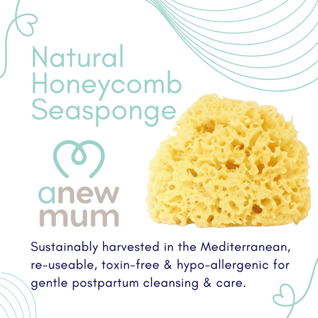 Anewmum – Natural Honeycomb Sea Sponge- Lillys Pharmacy and Health Store