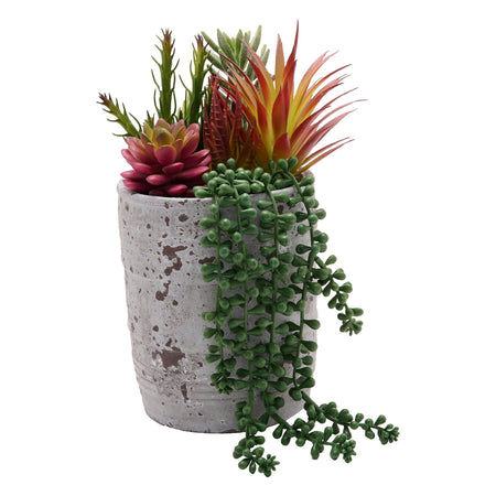 Artificial Succulent Plant Trailing in a White Pot- Lillys Pharmacy and Health Store