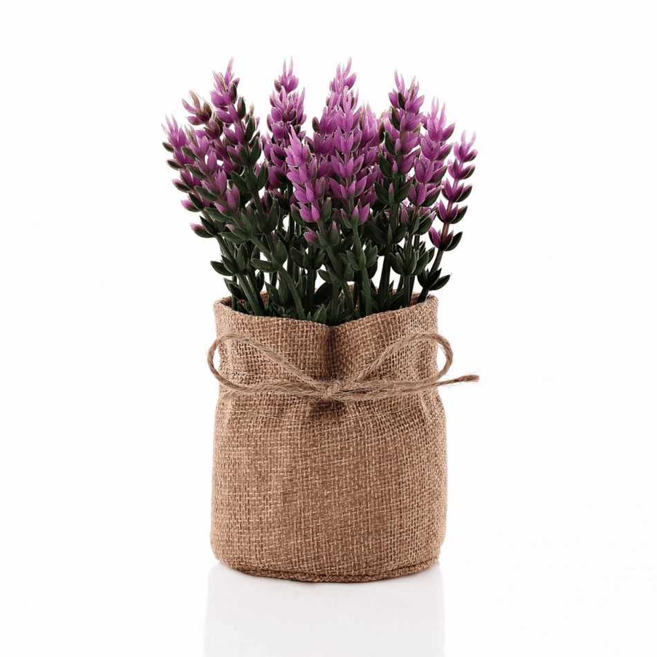 Small Faux Plant in Hessian Bag 15cm- Lillys Pharmacy and Health Store